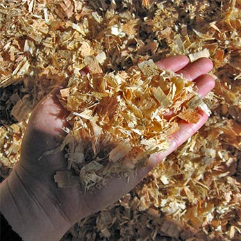 Biomass Fuel